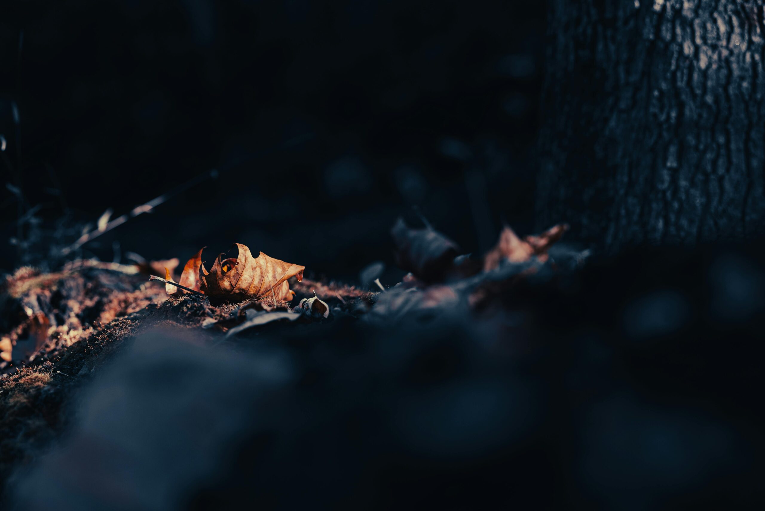 Love Attraction Spells That Bring True Love Quickly.